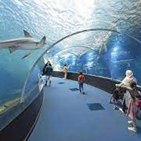 La Maison Du Pecheur Boulogne Sur Mer Centre ブローニュ・シュル・メール エクステリア 写真